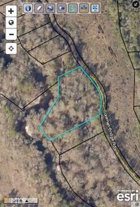 0 Coleman Bridge Spur, Cobbtown, GA, 30420