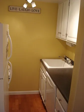 4 Monroe St #1201 — Photo 4