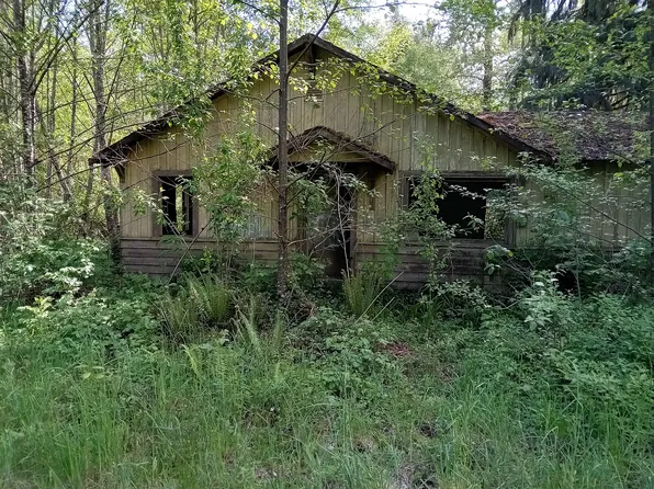 61 Taylors Ferry Rd, Elma, WA 98541