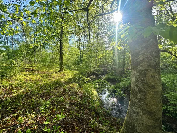 0 Rack Clayton Rd, Hohenwald, TN 38462