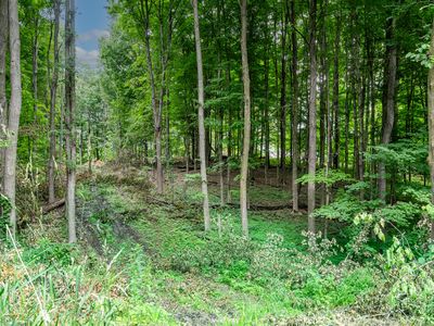 0 Dutch Settlement St, Vandalia, MI, 49095