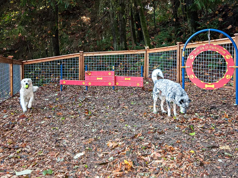 Lakemont Orchard — Photo 24