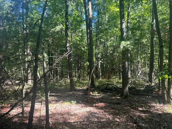 9 Mile Rd, Stanwood, MI 49346