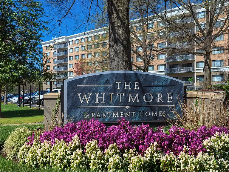 The Whitmore — Photo 33