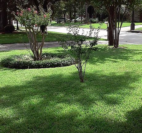 Facing out to the street