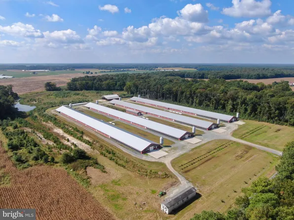 14240 Woodbridge Rd, Greenwood, DE 19950