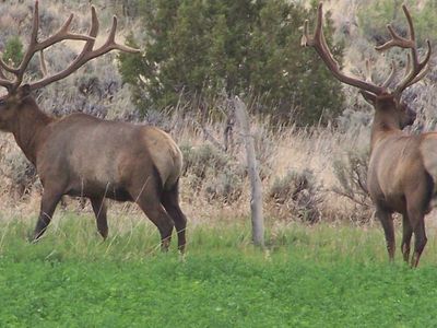 5345 S 45000 W, Fruitland, UT, 84027