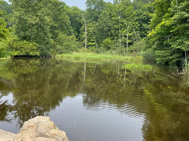37 Red Tail Rd — Photo 31
