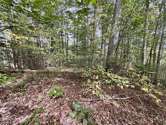 4th image of 90 Owls Cove Way Lot 90