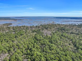 Drizzle Bluff Rd, Woodbine, GA 31569