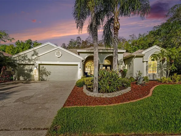 4491 Fallbrook Blvd, Palm Harbor, FL 34685