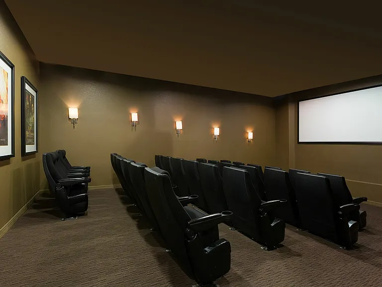 Theatre Room