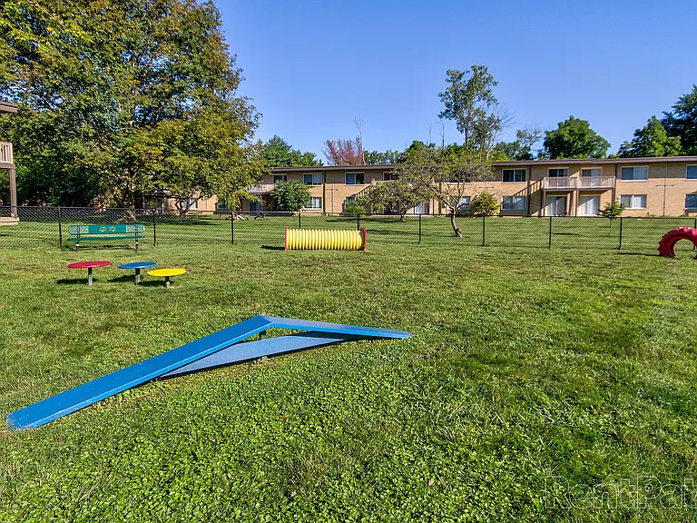 Dog Park
