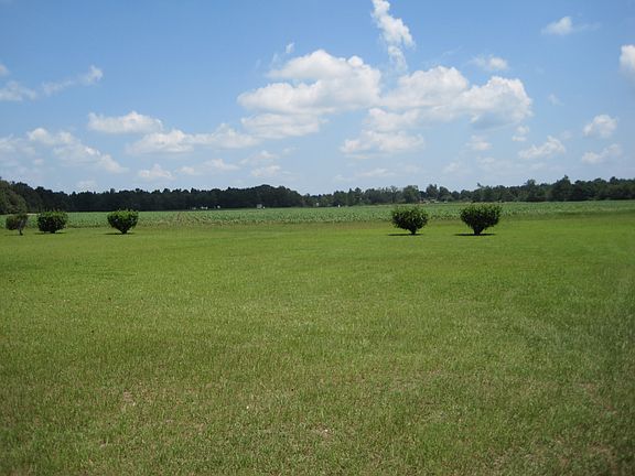 Land View