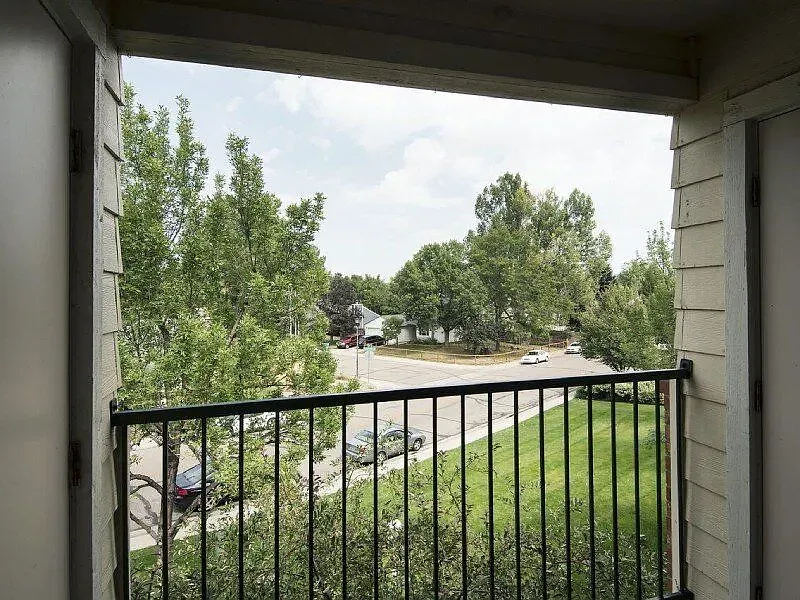 Woodlands — Photo 2
