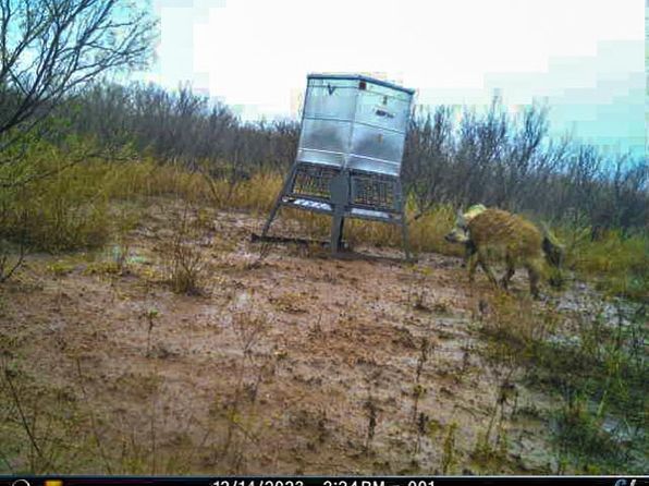 Fm 2875/hwy #287