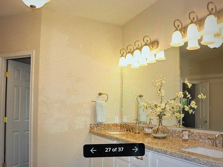 6223 Borg Breakpoint Dr — Photo 29
