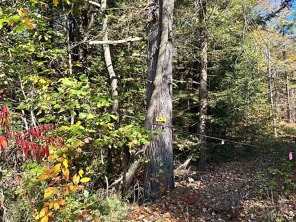 3rd image of 1101 Doe Lake Rd