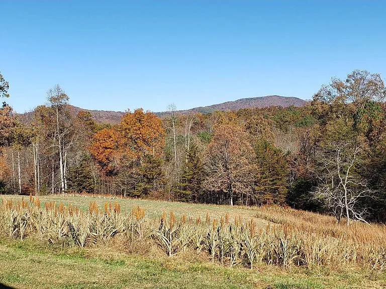 451 Cobb Mountain Rd — Photo 27