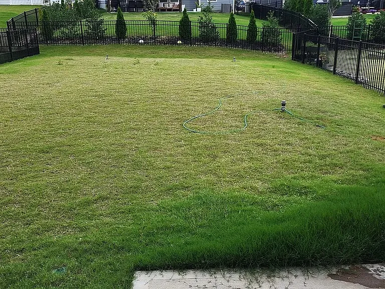 11148 Godwit Ln — Photo 2