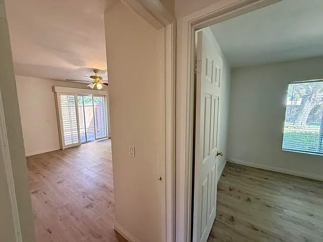 2392 Medlar Rd — Photo 19