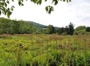 New Rd, Bovina Center, NY 13740