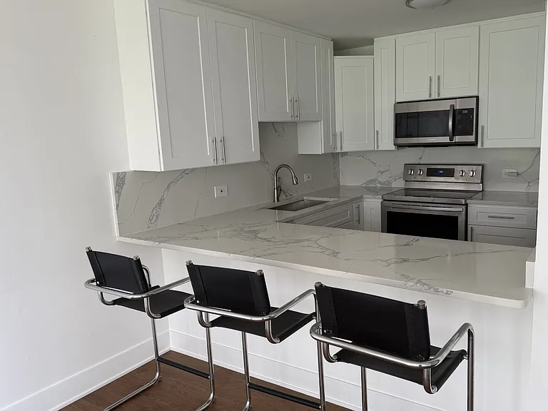 1540 N Lasalle St #403 — Photo 3