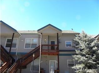 5720 County Road 64 #103A, Bailey, CO 80421
