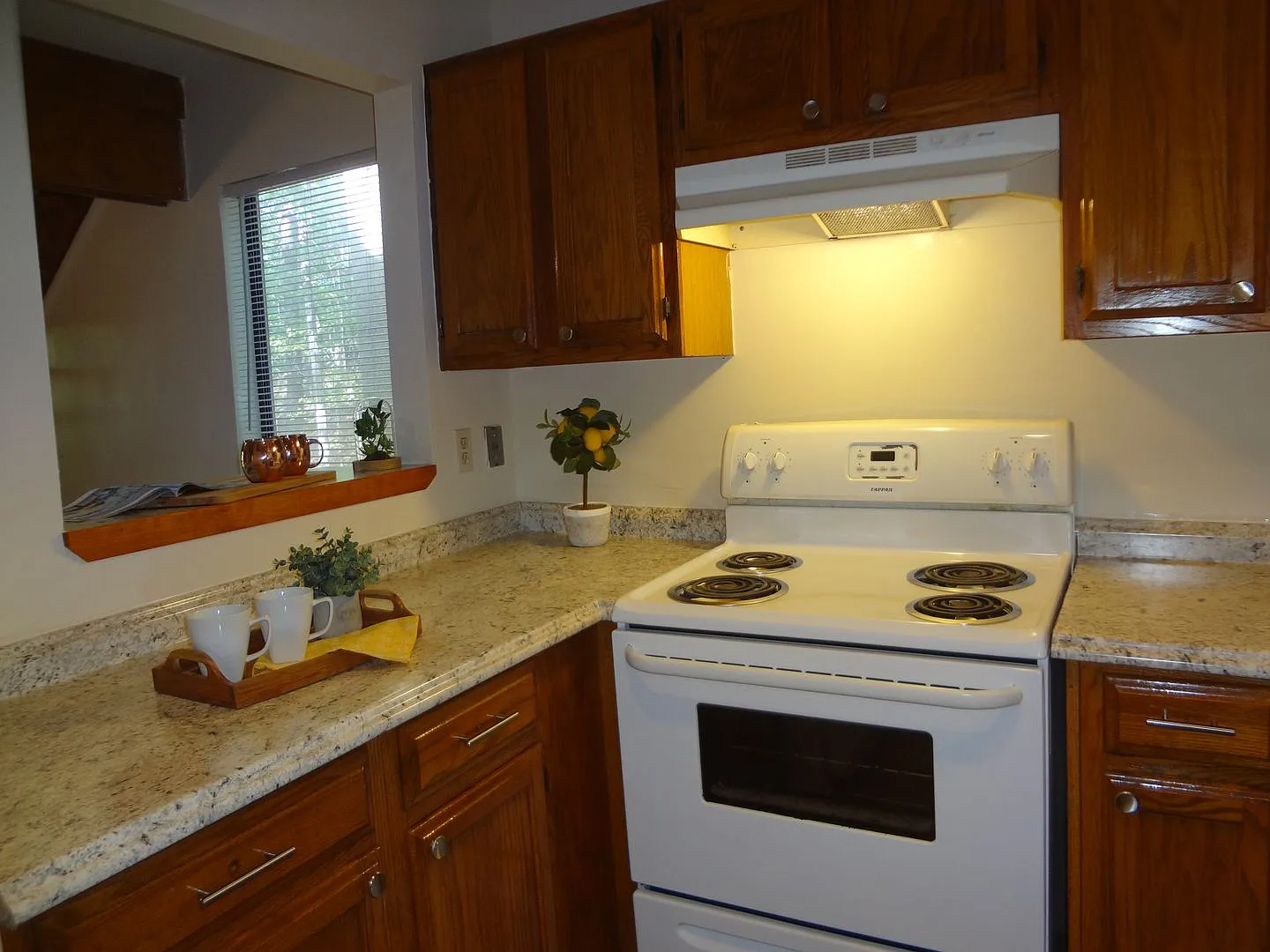 93 Lystra Hills — Photo 3