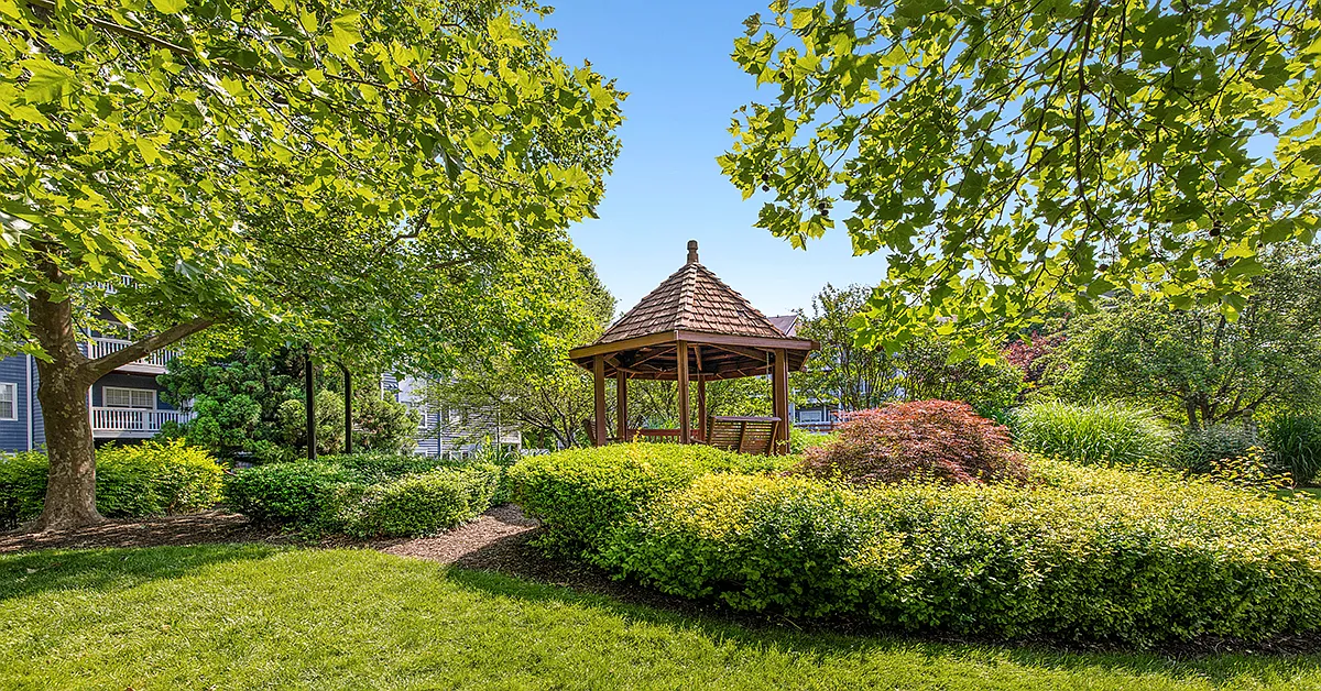 MAA Centreville — Photo 4