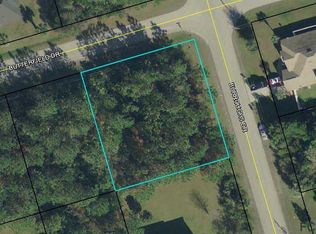1 Butterfield Dr, Palm Coast, FL 32137