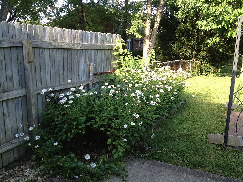 2nd image of 1410 Parkman Pl