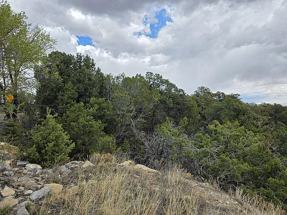 4th image of 196 Via Sedillo Rd