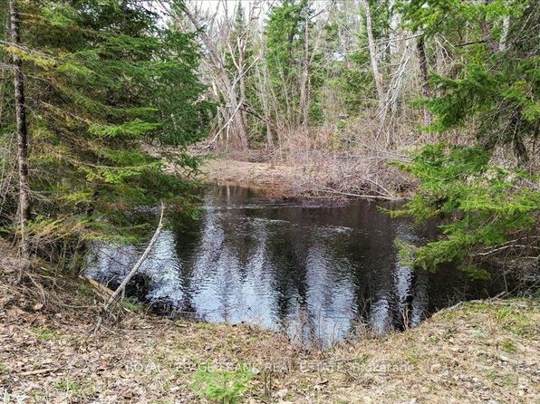 173 Lean Dr, North Kawartha, ON K0L 1A0