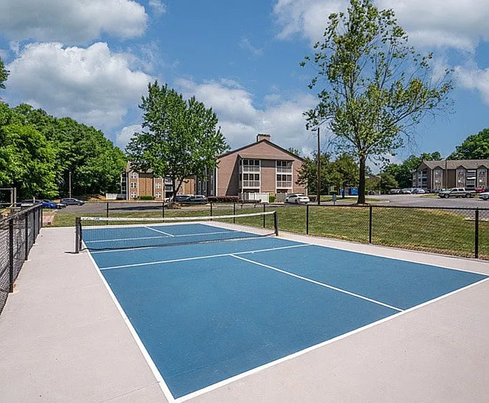 Pickleball Court