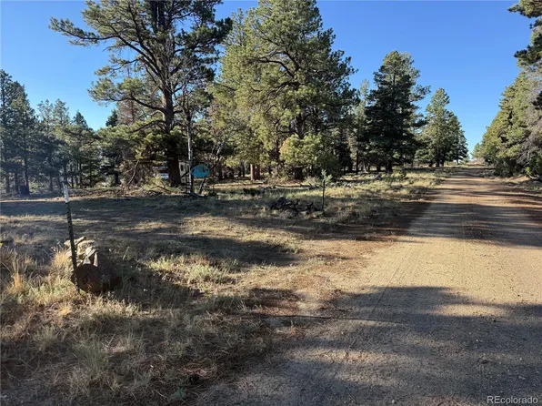 Lot 164 Tahmoush Lane LOT 164, Fort Garland, CO 81133