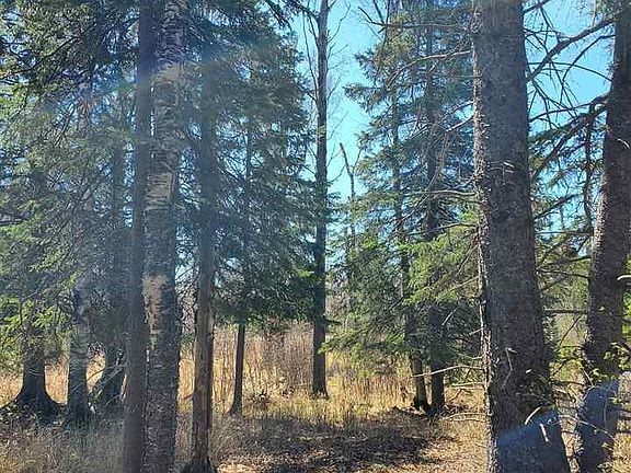 5th image of Lot 2 Hoaglund Dr