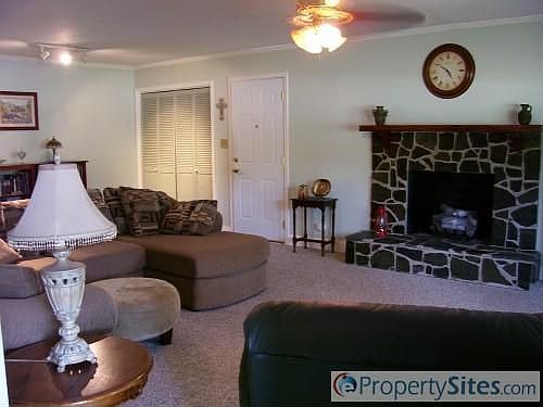 Gas logs in fireplace