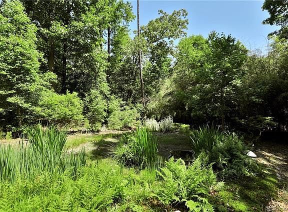 5th image of 14201 Ramblewood Dr