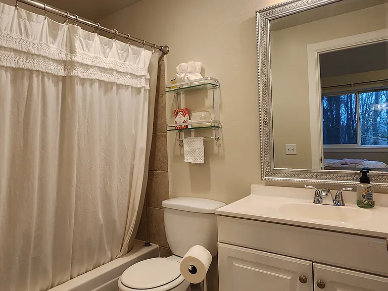 Master bedroom bathroom