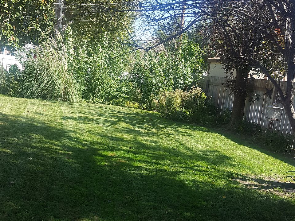 Spacoius backyard