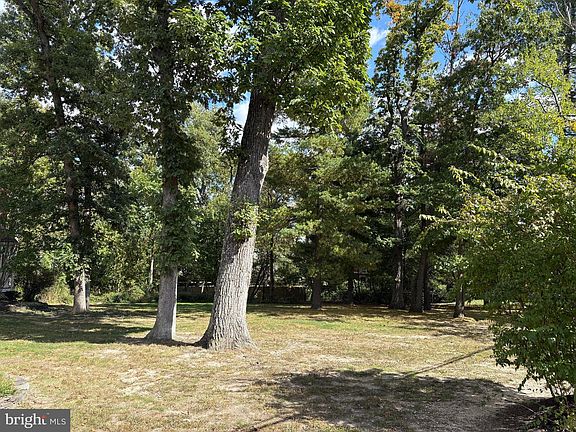2nd image of Elm Pl