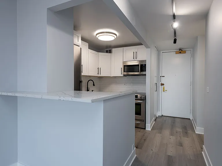 2650 N Lakeview Ave #1003 — Photo 8