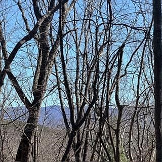 4th image of Na Pettit Ridge Rd