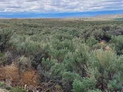 TBD Woodland Tr, Powell, WY, 82435