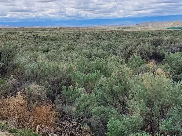 TBD Woodland Tr, Clark, WY 82435