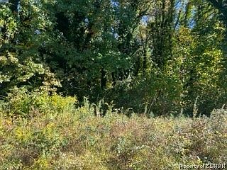 1st image of 0 Carters Cove Dr