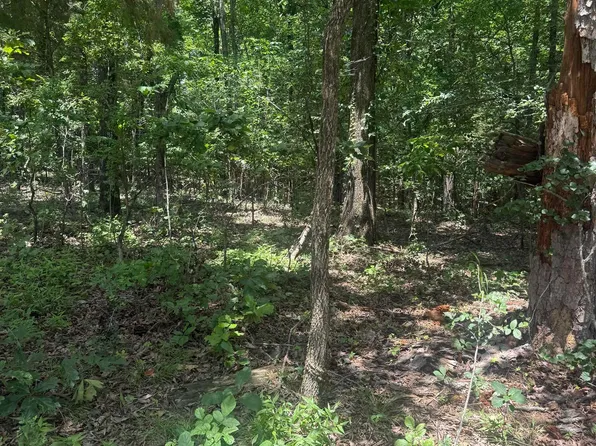 0 Green St, Paragould, AR 72450