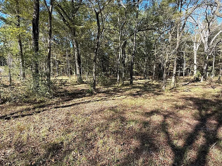 9367 FM 149 Rd — Photo 4