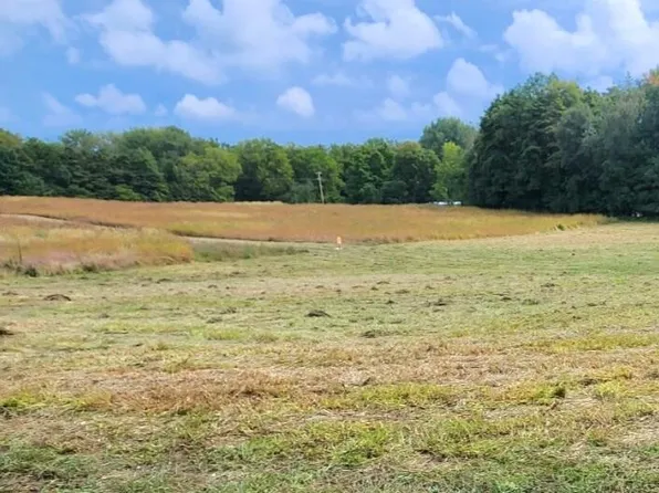 14406 50th St, Grand Junction, MI 49056